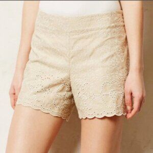 Elegant Cream Lace Women's Shorts